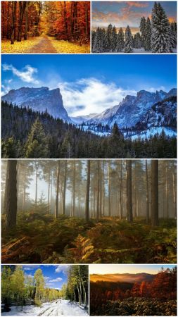 Landscapes Mountains (Pack 76)