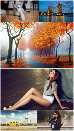 Collections HD Wallpapers (Pack 56)