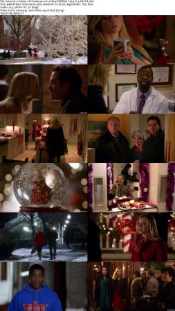 12 Dates of Christmas 2011 1080p WEBRip X264 Ac3-SNAKE