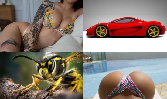Wallpapers best of the best 08