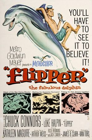 Flipper 1963 WEBRip XviD MP3-XVID