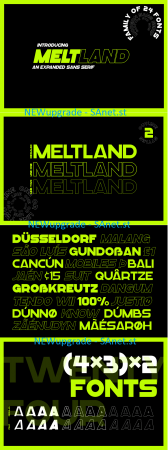 Meltland Font Family 320878