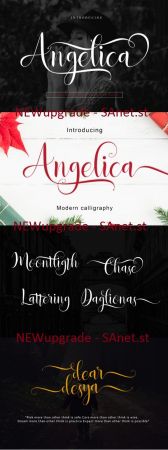 Angelica Dazzling Script Font