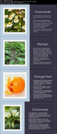  Learn How to Blend Herbal Teas &amp; Identify 43 Common Herbs. 