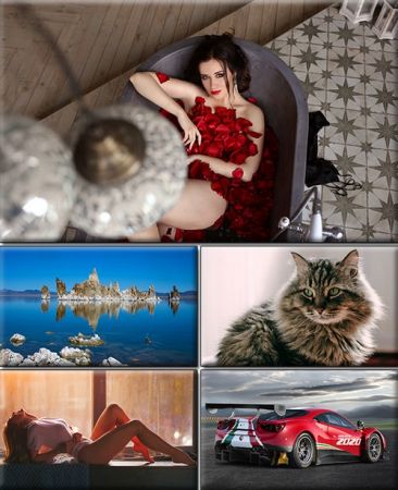 Computer Desktop Wallpapers Collection. Part (2266)