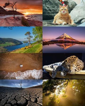 Wallpapers Mix №842