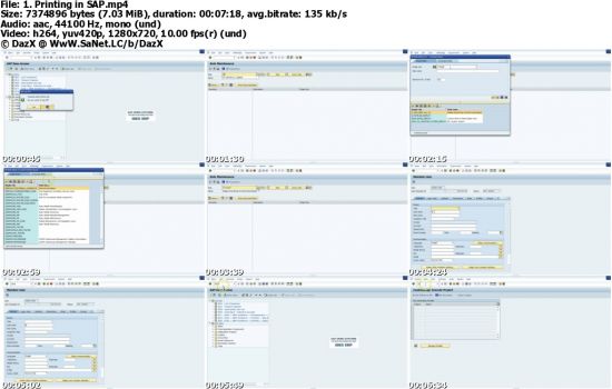 SAP A Guide for Beginners and End Users
