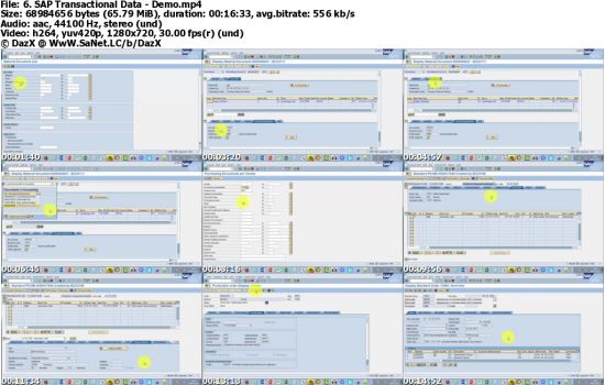What is SAP - Basic Introductory Course