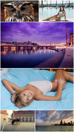 Collections HD Wallpapers (Pack 61)
