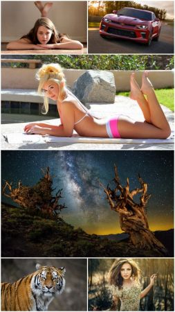 Collections HD Wallpapers (Pack 71)