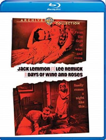Days of Wine and Roses 1962 BRRip XviD MP3-XVID