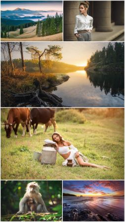 Collections HD Wallpapers (Pack 74)