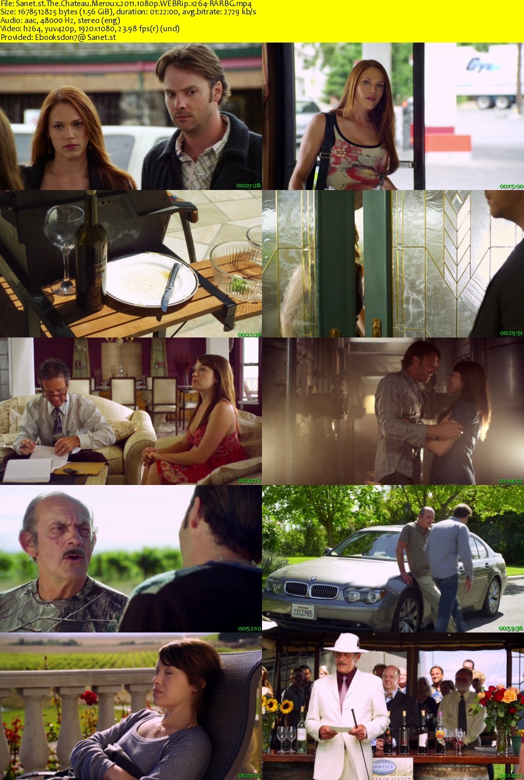 The Chateau Meroux 2011 1080p WEBRip x264RARBG SoftArchive