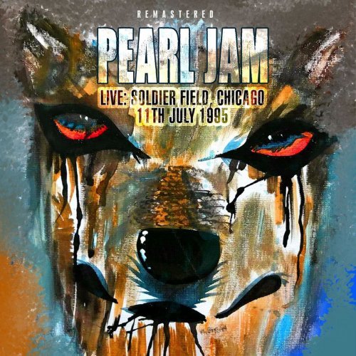 pearl jam rearviewmirror album 320