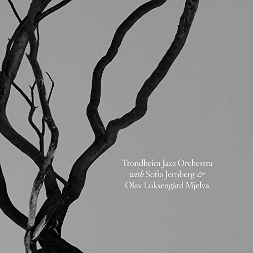 Trondheim Jazz Orchestra - Trondheim Jazz Orchestra with Sofia Jernberg &amp; Olav Luksengård Mjelva (2019) Hi Res