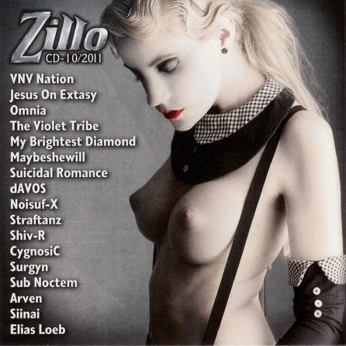 VA - Zillo CD-10-2011 (2011) MP3