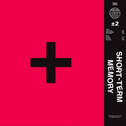 Short-Term Memory - Plus or Minus Two (2019) Hi-Res