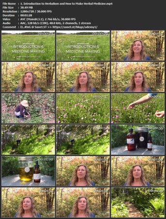Herbalism :: Intro &amp; Medicine Making Course Certificate