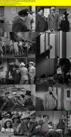 Abbott And Costello It Aint Hay 1943 BRRip XviD MP3-XVID