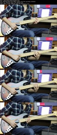  Slap Bass Beginner Course 