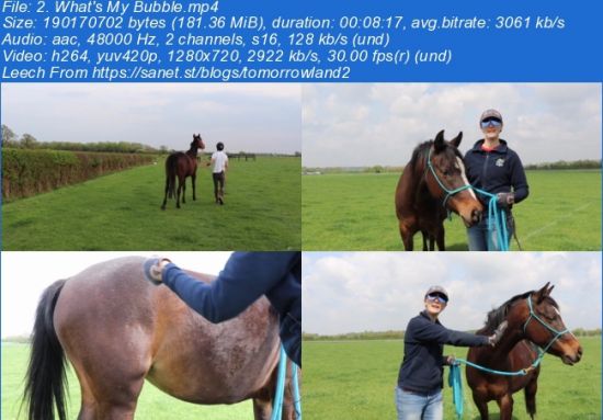 Speak the Horse Language: Master Your Horsemanship Energy
