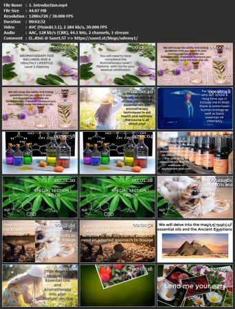 Professional Aromatherapy For Healthy Living - Level 2
