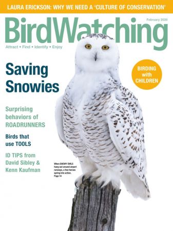 BirdWatching USA - February 2020