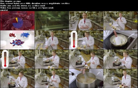 The Science of Cooking (The Great Courses Plus Pilots)