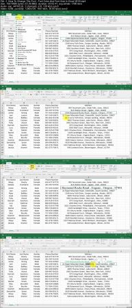  Microsoft Excel 2016 Introductory Course 