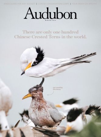 FreeCourseWeb Audubon Magazine Winter 2019