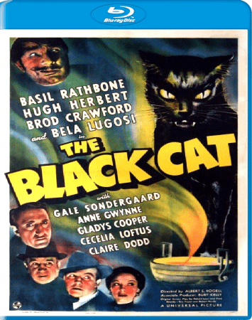 The Black Cat 1941 BRRip XviD MP3-XVID