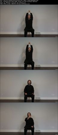 Healing Sounds Qi Gong Meditation 