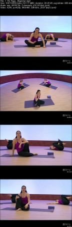  Yin Yoga 