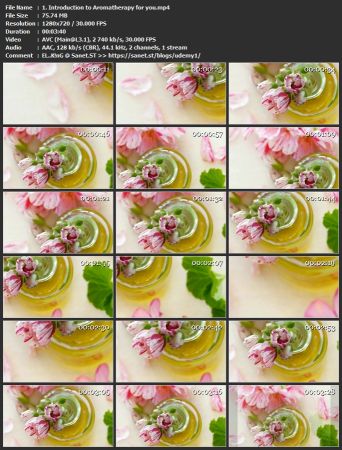 Level one Aromatherapy; Introduction.
