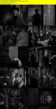 The Black Cat 1941 BRRip XviD MP3-XVID