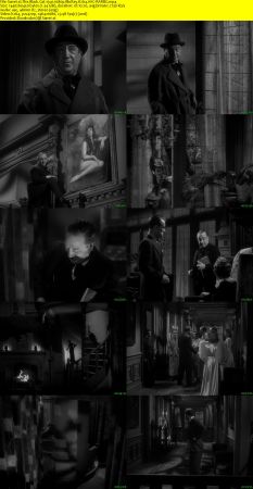 The Black Cat 1941 1080p BluRay H264 AAC-RARBG