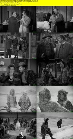 Abbott And Costello Lost In Alaska 1952 BRRip XviD MP3-XVID