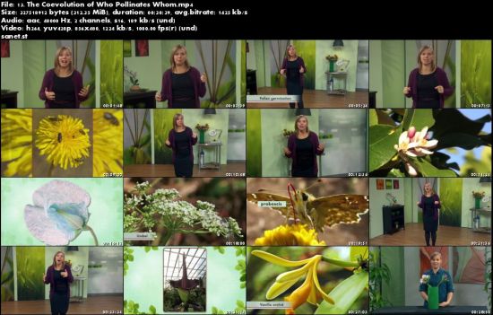 Plant Science: An Introduction to Botany