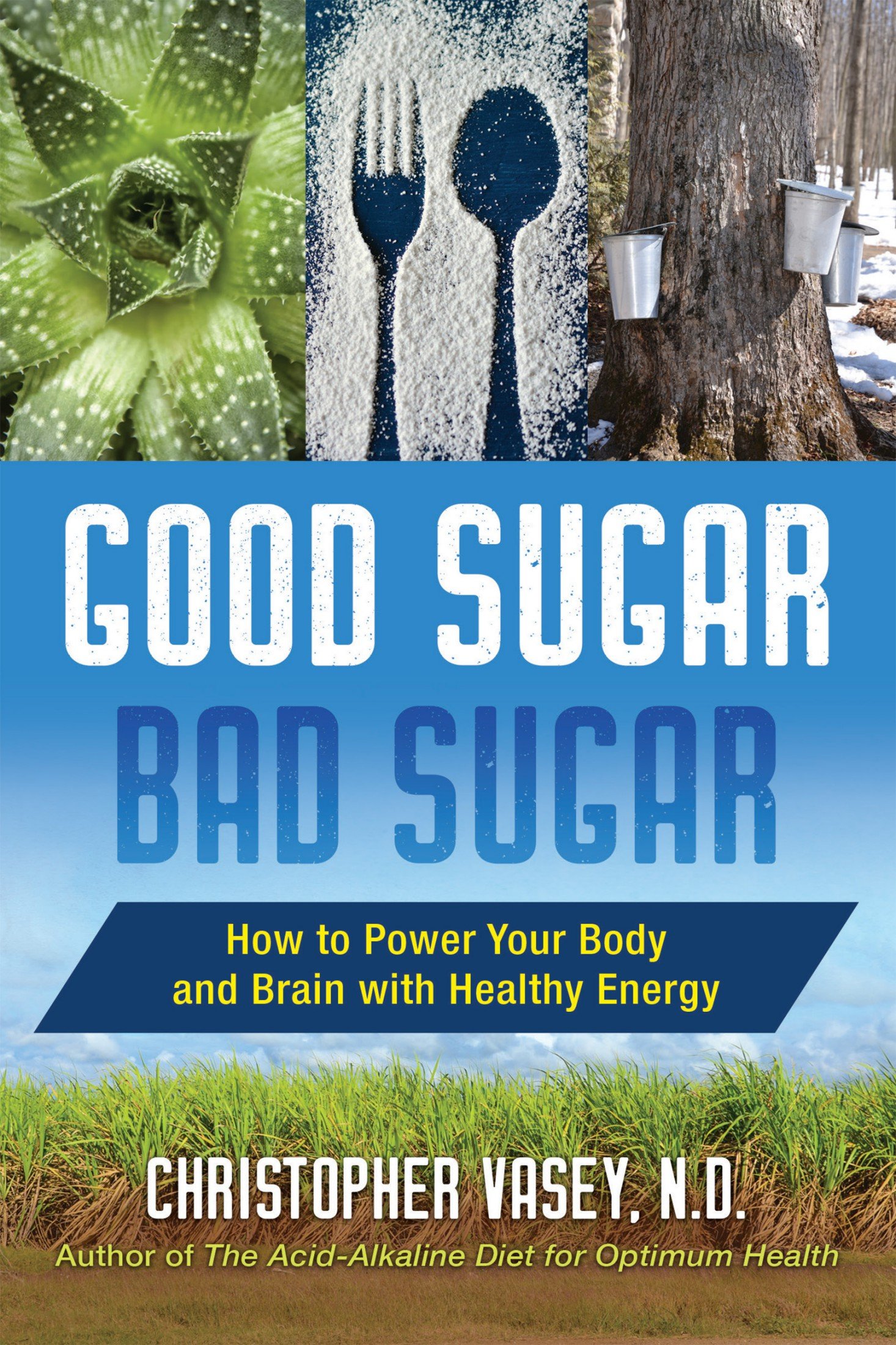 Download Good Sugar Bad Sugar How To Power Your Body And Brain With Healthy Energy SoftArchive