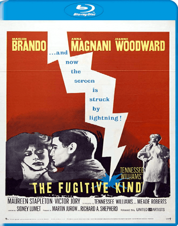 The Fugitive Kind 1960 1080p BluRay H264 AAC-RARBG