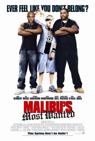 Malibus Most Wanted 2003 1080p WEB-DL HEVC x265 5.1 BONE