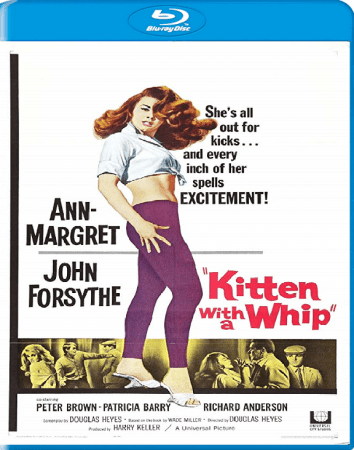 Kitten With A Whip 1964 720p BluRay H264 AAC-RARBG