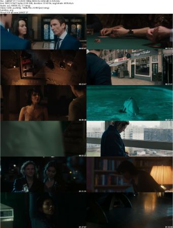 The Host 2020 1080p WEB-DL H264 AC3-EVO