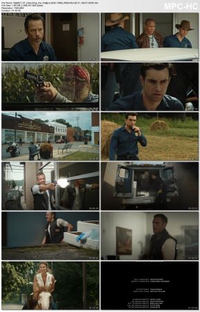 Disturbing the Peace 2020 1080p WEB-Rip DD5.1HEVC-DDR