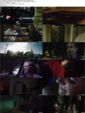 Bloodhound 2020 1080p WEB-DL H264 AC3-EVO