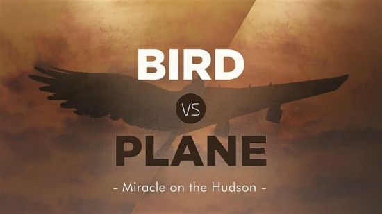 Smithsonian Ch. - Bird vs. Plane: Miracle on the Hudson (2018) 1080p HDTV x264 AAC MVGroup