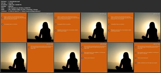 The Beginner's Guide To Motivation And Meditation