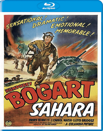 Sahara 1943 1080p BluRay x264-OFT
