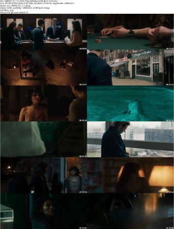 The Host 2020 720p WEBRip x264 AC3-EVO