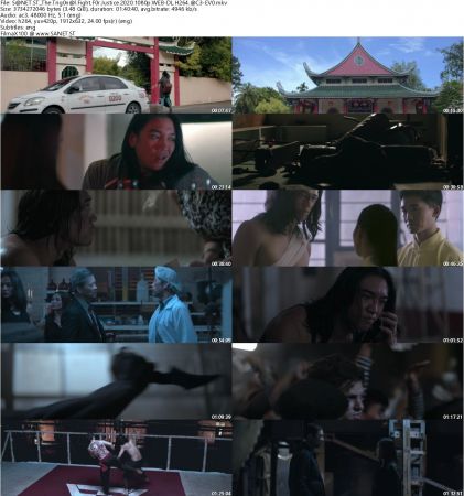The Trigonal Fight For Justice 2020 1080p WEB-DL H264 AC3-EVO
